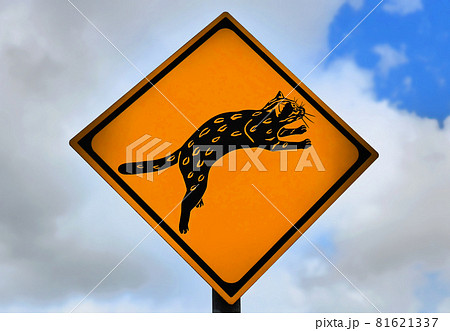 西表島で見つけたイリオモテヤマネコの看板 81621337