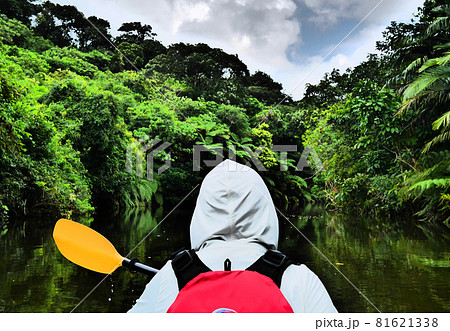 自然のなかでカヤックに乗る女性 自然のなかでカヤックに乗る女性 81621338