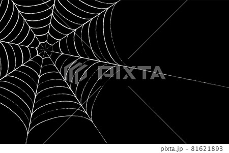 ハロウィンやホラーのデザイン向け 蜘蛛の巣、黒背景 ハロウィンやホラーのデザイン向け 蜘蛛の巣、黒背景 81621893