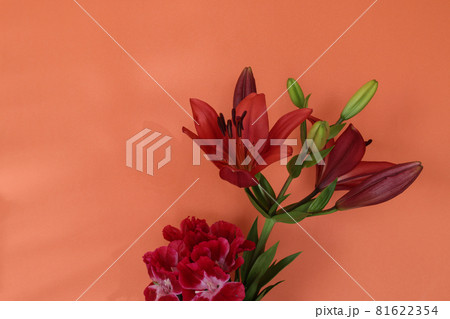 オレンジ色の壁背景の百合とイロマツヨイグサ 81622354