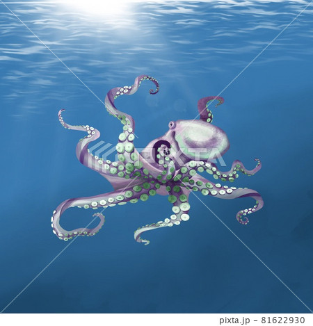 watercolor octopus swimming in the sea. Purple octopus watercolor octopus swimming in the sea. Purple octopus 81622930