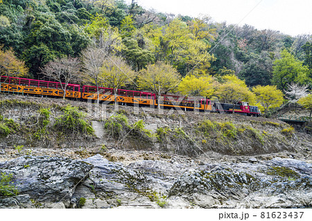 京都保津川下りの船上より、春をむかえた保津峡を走るトロッコ列車を見る。 京都保津川下りの船上より、春をむかえた保津峡を走るトロッコ列車を見る。 81623437