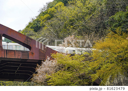 京都保津川下りの船上より、橋梁を通過する列車を見上げる。 京都保津川下りの船上より、橋梁を通過する列車を見上げる。 81623479