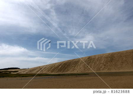 鳥取　四季の散歩　秋　砂丘 81623688