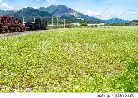 三重県いなべ市大安町の貨物鉄道博物館と春そば畑の道 81625330