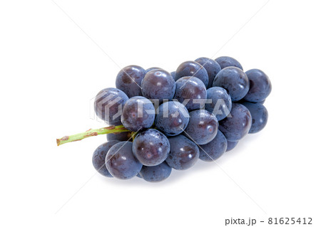 一房のピオーネ【白背景】 一房のピオーネ【白背景】 81625412