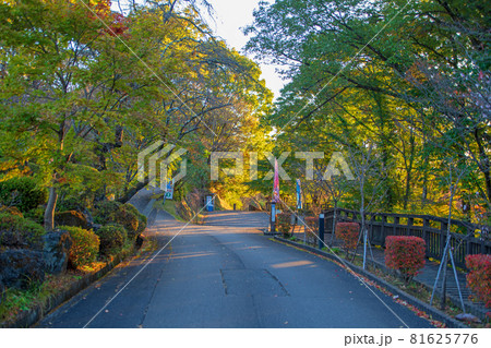城峯公園　秋の風景　紅葉の季節　　 81625776