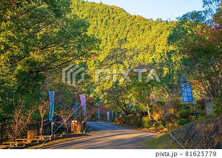 城峯公園　秋の風景　紅葉の季節　　 81625779
