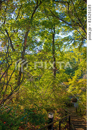 城峯公園　展望台入口階段付近　秋の風景　紅葉の季節　　 81626185