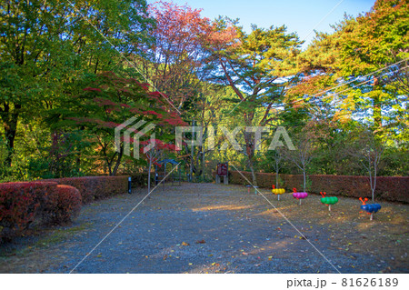 城峯公園　展望台付近　広場　秋の風景　紅葉の季節　　 81626189