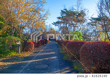 城峯公園　展望台付近　秋の風景　紅葉の季節　　 81626190