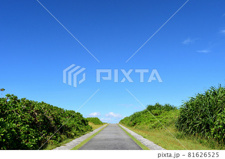 晴れた日の一本道／沖縄県読谷村残波 81626525