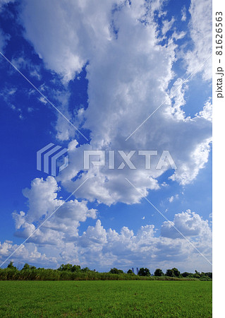 夏から秋に移り変わる季節の青空と白い雲 81626563