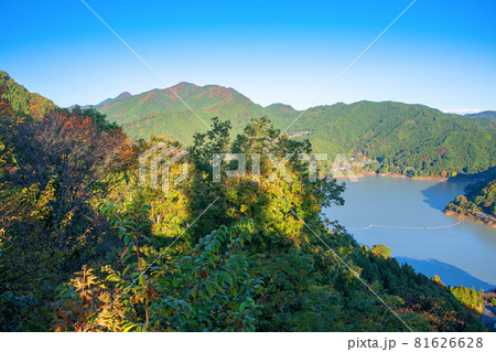 城峯公園　展望台からの景色　神流湖　秋の風景　紅葉の季節　　 81626628