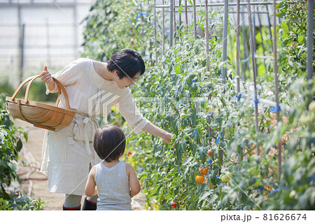 農家の家族 81626674