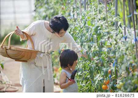 農家の家族 農家の家族 81626675