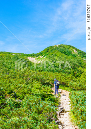 夏の唐松岳登山:八方池~丸山ケルン 夏の唐松岳登山:八方池~丸山ケルン 81626707
