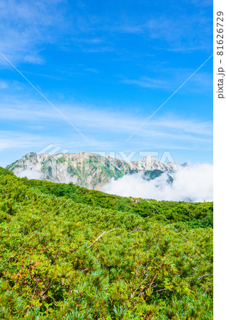 夏の唐松岳登山：八方池～丸山ケルン（白馬三山方面の眺め） 81626729