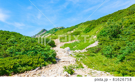 夏の唐松岳登山：八方池～丸山ケルン 81626758