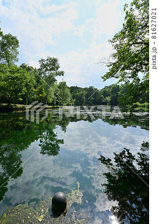 鳥沼公園 鳥沼公園 81627021