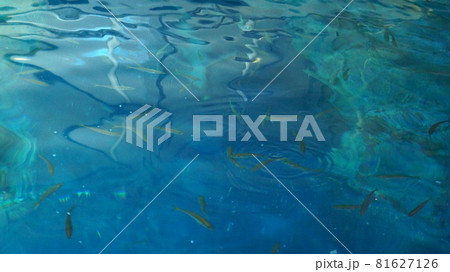 水中 景色 青 81627126