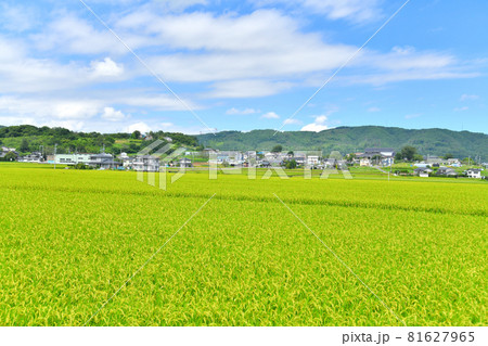 あさしな温泉 穂の香乃湯周辺を望む(長野県佐久市)【2021.8】 あさしな温泉 穂の香乃湯周辺を望む(長野県佐久市)【2021.8】 81627965
