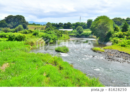 中佐都橋／湯川より上流方面を望む(長野県佐久市)【2021.8】 81628250