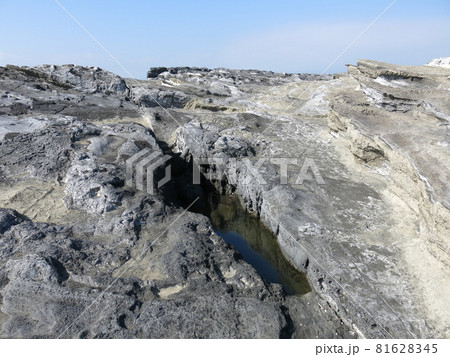 三浦市の城ヶ島にある長津呂の磯 三浦市の城ヶ島にある長津呂の磯 81628345