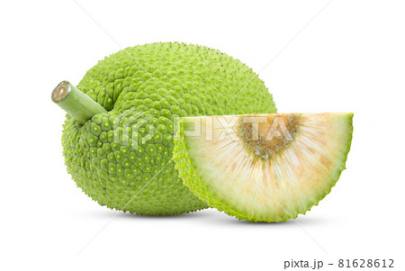 breadfruit on white background 81628612