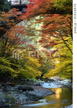 大芦渓谷、鹿沼、栃木県 81628876