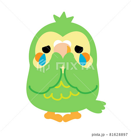 フクロウオウム カカポ オウム 鳥 ニュージーランド イラスト素材のイラスト素材