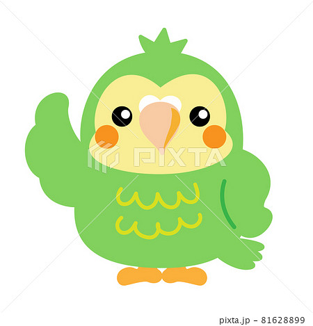 フクロウオウム カカポ オウム 鳥 ニュージーランド イラスト素材の
