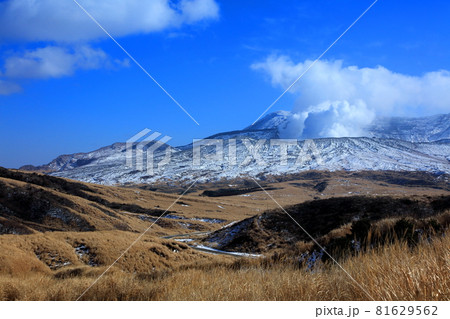 冬の阿蘇 81629562