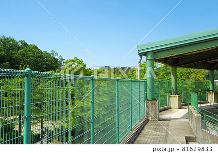 野球場の応援席と夏の青空の風景 野球場の応援席と夏の青空の風景 81629833