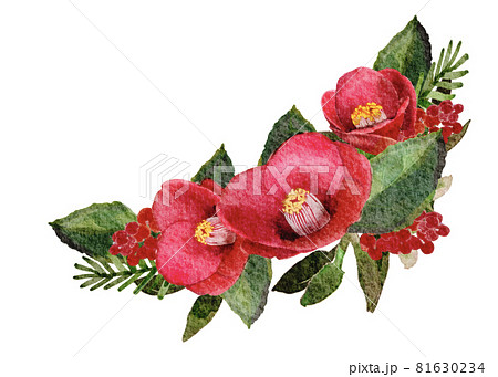 水彩で描かれた椿の花 81630234