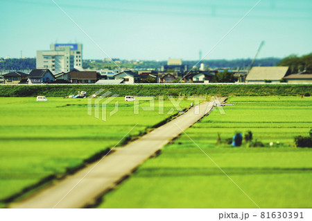 日本の田園風景と青空 81630391