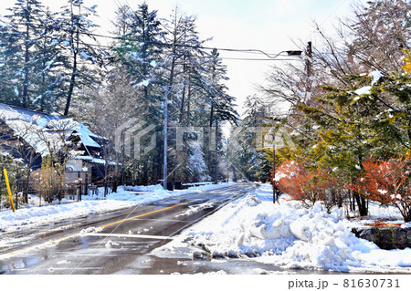 離山通り/六本辻方面を望む(長野県軽井沢町)【2021.1】 離山通り/六本辻方面を望む(長野県軽井沢町)【2021.1】 81630731