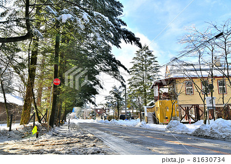離山通り／六本辻方面を望む(長野県軽井沢町)【2021.1】 81630734
