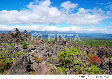 鬼押出し園(群馬県吾妻郡嬬恋村) 鬼押出し園(群馬県吾妻郡嬬恋村) 81630798