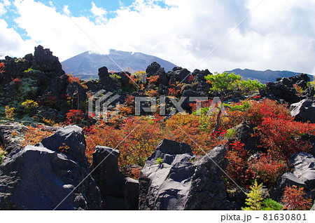 鬼押出し園と浅間山(群馬県吾妻郡嬬恋村) 鬼押出し園と浅間山(群馬県吾妻郡嬬恋村) 81630801