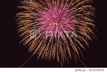 花火 81630820