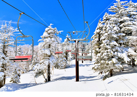 寺小屋スキー場／寺小屋第1ペアリフト(長野県山ノ内町)【2021.3】 81631434