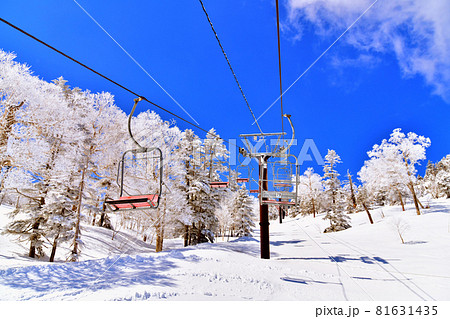 寺小屋スキー場／寺小屋第1ペアリフト(長野県山ノ内町)【2021.3】 81631435
