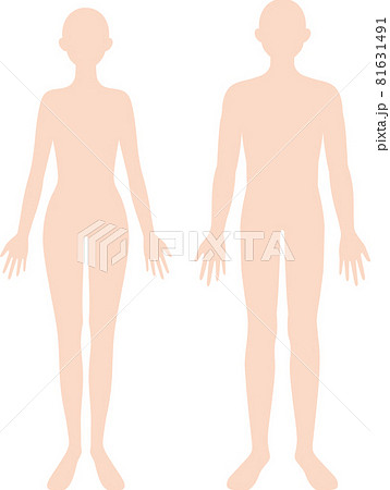 人体 男女の身体 シルエット 人体 男女の身体 シルエット 81631491