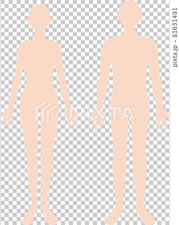 人体 男女の身体 シルエット 人体 男女の身体 シルエット 81631491