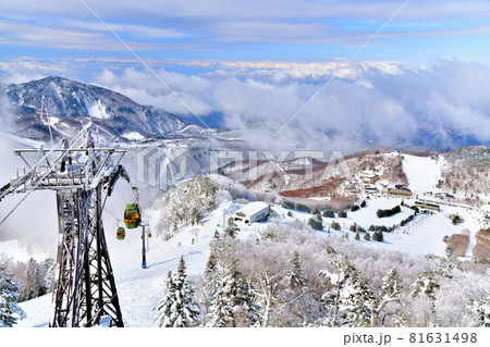東館山スキー場より北アルプス方面を望む(志賀高原)【2021.3】 81631498