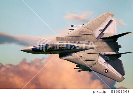 F-14A TOMCAT　第84戦闘飛行隊　VF-84　ジョリーロジャース 81631543