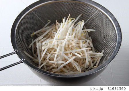もやしをザルに入れて洗っう もやしをザルに入れて洗っう 81631560
