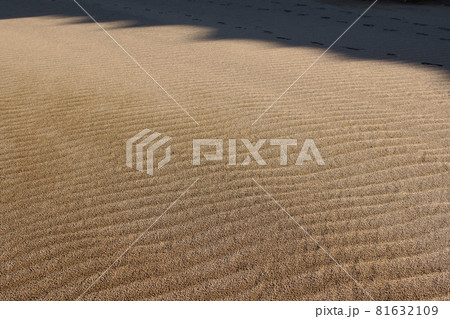 鳥取　四季の散歩　秋　砂丘 81632109