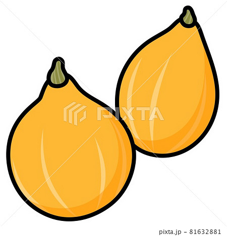 コリンキー カットイラスト素材のイラスト素材 コリンキー カットイラスト素材のイラスト素材